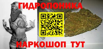 a pvp Пугачёв